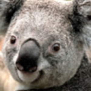 Meet your Posher, Judith